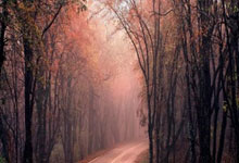 队员团结合作，共同取得重要胜利