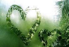 欧洲足球赛事再掀风暴，球迷狂热