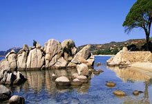 多特蒙德主场失利阵容调整引争议